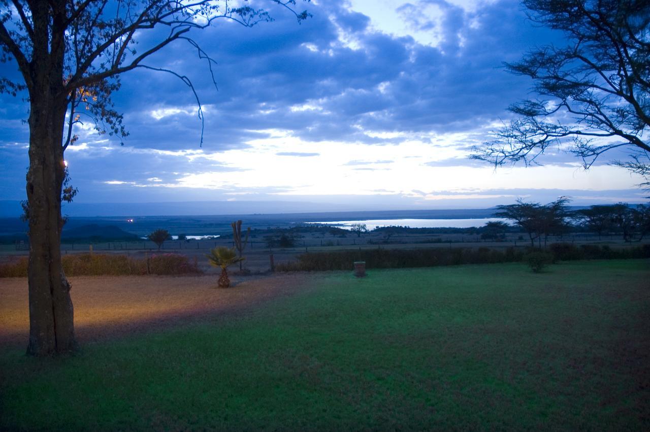 Jacaranda Elementaita * Gilgil